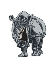 Vector color  illustration of rhino isolated on white background, grey rhinoceros 