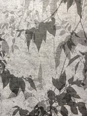 Dessin stylisé et moderne de feuilles - Papier-peint de tapisserie pouvant servir de fond et de texture