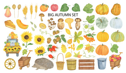 Autumn design elements watercolor clipart set, fall holiday celebration thanksgiving halloween decor, healthy living concept, harvest time simple isolated illustration