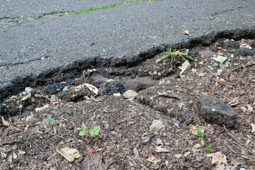 The prolonged drought caused by climate change is not only noticeable in agriculture, it also causes the soil to shrink and roads to slip as a result.