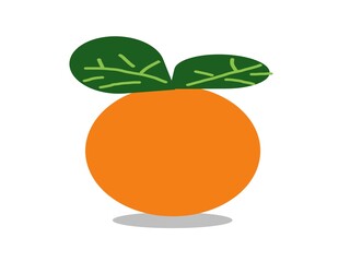 orange fruit illustration