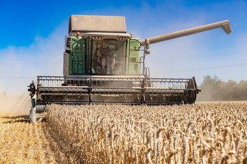 Combine harvester during wheat harvest in the field - 4317