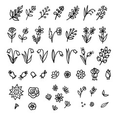 Vector doodle collection of floral elements. Cartoon line illustrations of flowers, twigs, branches, buds, bells, roses, daisies and leaves isolated on a white background.
