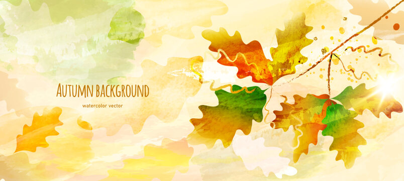 Autumn landscape with oak leaves. Watercolor vector abstract background.