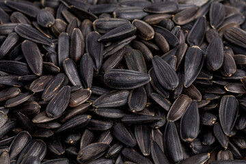 Closeup of black sunflower seeds. Sunflower oil, oilseed farming and agriculture concept.