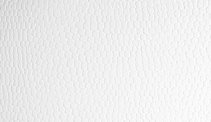 Creative white paper texture for printing - 
snake and reptile skin pattern textured background -...