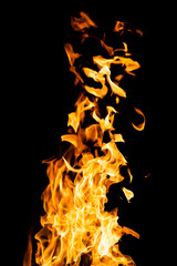The dancing flames in a hot burning bush fire