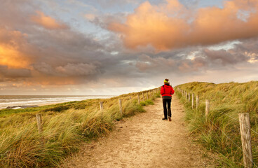 Fototapeta premium A woman walking on a beautiful sandy trail along the ocean. North Holland dune reserve, Egmond aan Zee, Netherlands.