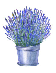 watercolor image of a metal bucket with a bouquet of lavender