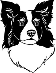 Border collie dog head. Purebred pet. Sketch vector illustration on isolated background. Ideal for logo, print on paper and fabric