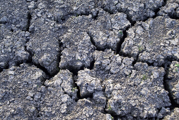 Photo of ground cracked after the heat in the summer
