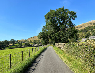 Rural landscape, with a country road, wild plants, and hills near, Austwick, UK