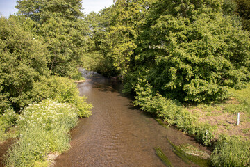 River amongst the trees.