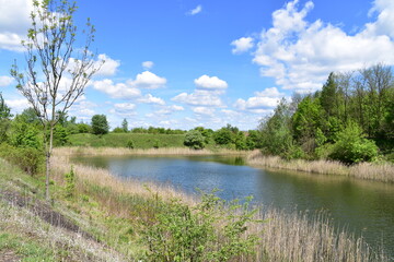 Fototapeta na wymiar Zespół przyrodniczo-krajobrazowy Żabie Doły, Park, teren rekreacyjny