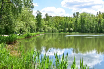 Fototapeta na wymiar Zespół przyrodniczo-krajobrazowy Żabie Doły, Park, teren rekreacyjny