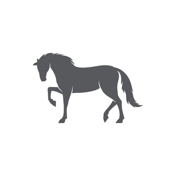 Horse realistic silhouette logo design. Horse pictogram. Side view of horse. Vector illustration