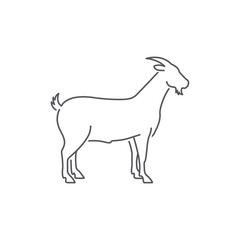 Obraz na płótnie Canvas Goat side view linear silhouette. Farm goat animal logo design. goat line art. Vector illustration