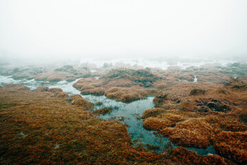 Fototapeta na wymiar autumn landscape with fog and a small river in the foreground
