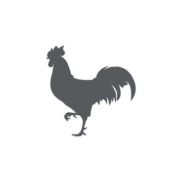 Rooster silhouette icon. Male cock side view. Vector illustration. chicken logo vector. 