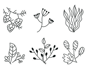 Flower floral leaf plant line art hand drawn style concept graphic design illustration set collection