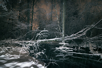 Snowfall on a forest river