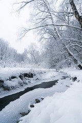 Trees with hoarfrost over river in a forest