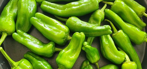 Juicy green peppers. Cooking process of sweet green pepper. Healthy fresh vegetables. Useful vegetables for advertising. Video cooking dishes from pepper. Useful sweet pepper cooking.