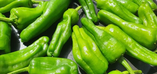 Juicy green peppers. Cooking process of sweet green pepper. Healthy fresh vegetables. Useful vegetables for advertising. Video cooking dishes from pepper. Useful sweet pepper cooking.