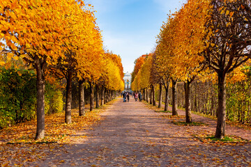 Catherine park in autumn, Tsarskoe Selo (Pushkin), Saint Petersburg, Russia