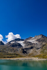 Fototapeta na wymiar Ghiacciaio dell'Aletsch in Svizzera in estate