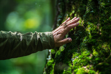 Man hand touch the tree trunk close-up. Bark wood.Caring for the environment. The ecology the...