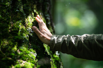 Man hand touch the tree trunk close-up. Bark wood.Caring for the environment. The ecology the...