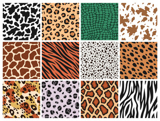 Fototapeta premium Animal seamless patterns. Mammals, predators fur, reptile skin prints, leather backgrounds, zebra jaguar and tiger textile, giraffe and cow natural fauna texture design, tidy vector set