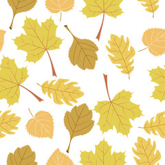 Autumn pattern,leaves of maple,oak,birch trees on a white background.Vector pattern can be used in textiles, postcards, autumn store designs.