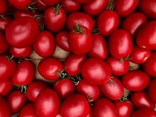 Ripe home-grown plum tomatoes