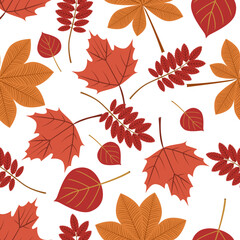 Autumn seamless pattern in burgundy tones, leaves of chestnut, rowan, maple trees.poplars on a white background.Vector pattern can be used in textiles,paper, autumn supermarket designs.