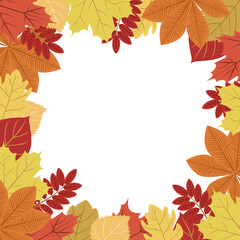 Autumn frame made of leaves of chestnut, maple, rowan, poplar trees.birch trees.oak on a white background.The vector frame can be used in postcards, autumn designs, shops, banners.