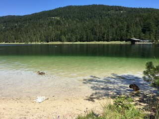 lake and mountains Alps