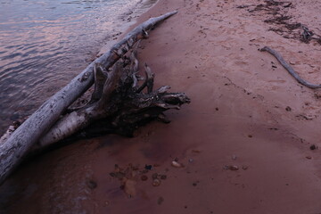 Driftwood on Garnet Beach on Lake Superior in Upper Peninsula Michigan