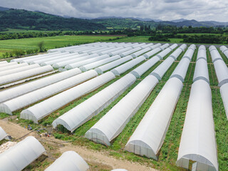 Close up drone view of greenhouses lined up, covered with white film for growing vegetables and...