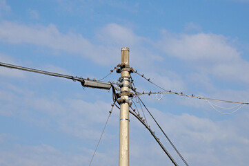 Electric cables on country light pole