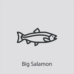 big salamon icon vector icon.Editable stroke.linear style sign for use web design and mobile apps,logo.Symbol illustration.Pixel vector graphics - Vector