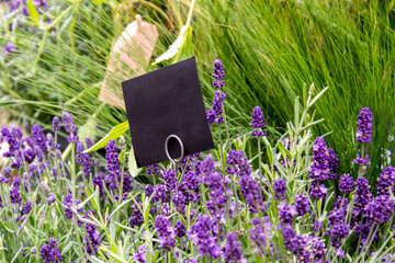 Bumenkorb mit Lavendel und Gräsern - in der Mitte steckt ein schwarzes Schild zum Beschriften