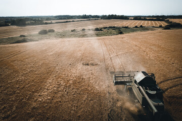 An aerial view of a combine harvester harvesting crops on a sunny summers day in Europe. 