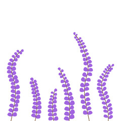 Lavender. Vector illustration of lilac flower branches. Branches of flowers. Flat style lavender.Lavender in vintage style. Wedding template. Vintage floral background.