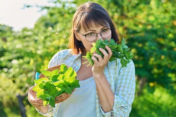 Smiling woman with mint leaf harvest in summer garden