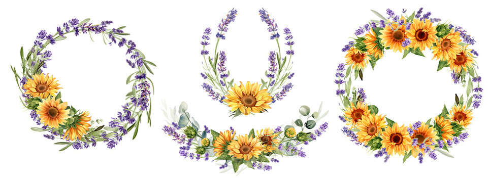 Sunflower and lavender flowers set. Watercolor illustration isolated on white background. Floral bouquet, border, wreath. Perfect for greeting card, poster, rustic wedding invitation