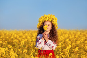 Ukrainian child girl in traditional embroidery and yellow wreath in field of yellow flowers against...