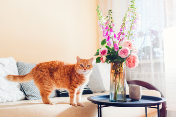 Ginger cat walking on couch in living room by bouquet of fresh roses and foxgloves flowers. Pet...