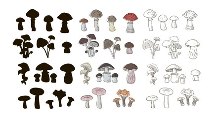 Set of boletus, oyster mushrooms, ceps, grebes, fly agarics, boletus, chanterelles, honey agarics, drawn in a single line style, black silhouette and doodle. Vector